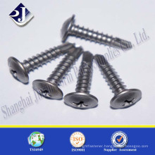 China experienced supplier stainless steel cross recess screw